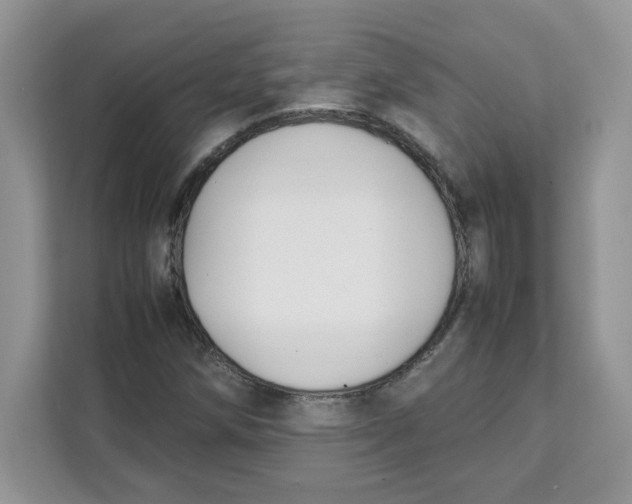 X0000111631258200908071404