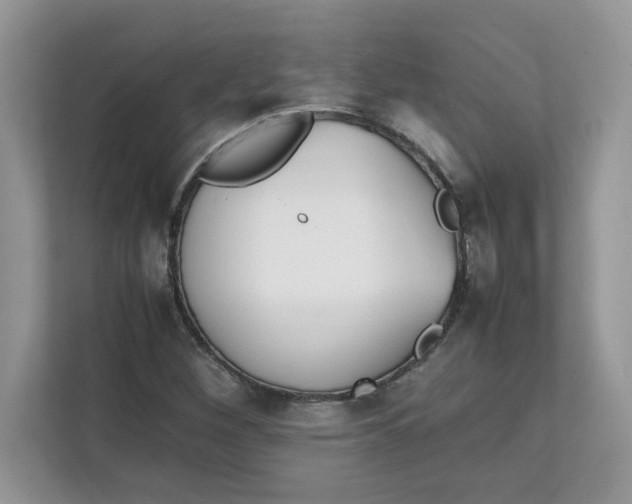 X0000111631260200908071404