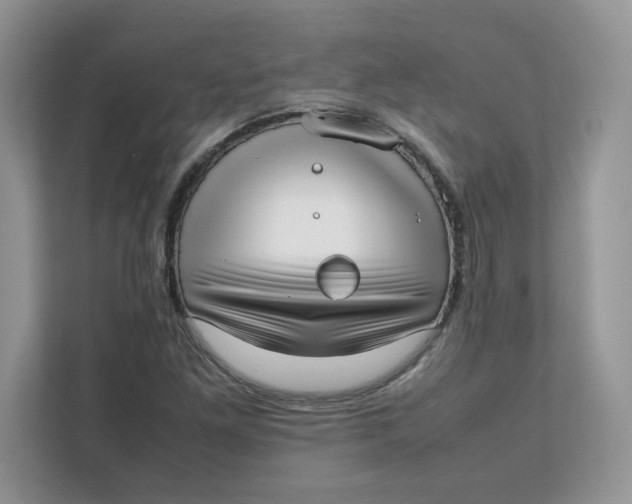 X0000111631261200908071404