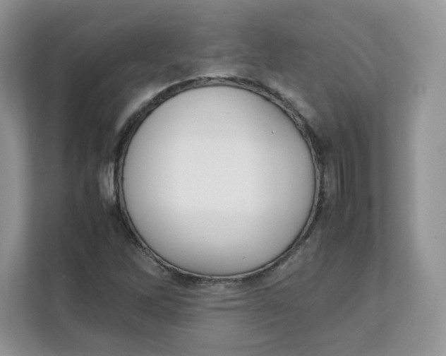 X0000111631262200908071404