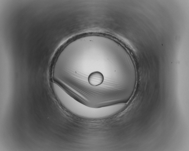 X0000111631264200908071404