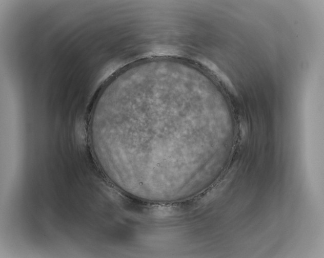 X0000111631266200908071404