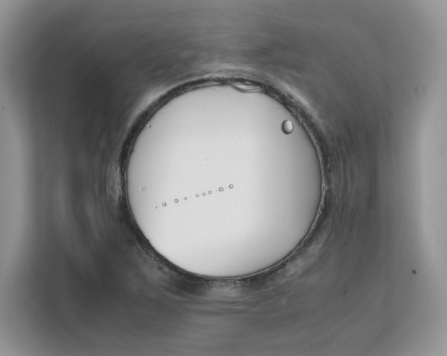 X0000111631267200908071404