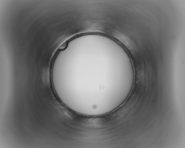 X0000111631268200908071404