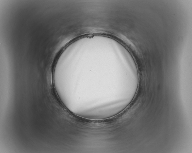 X0000111631269200908071404