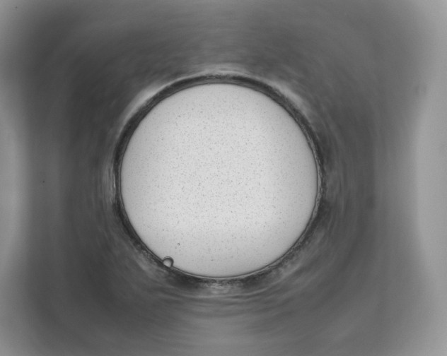 X0000111631271200908071404