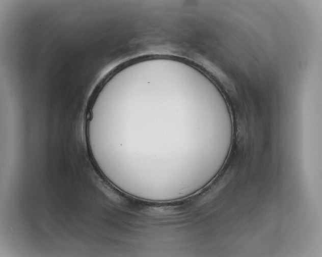 X0000111631272200908071404