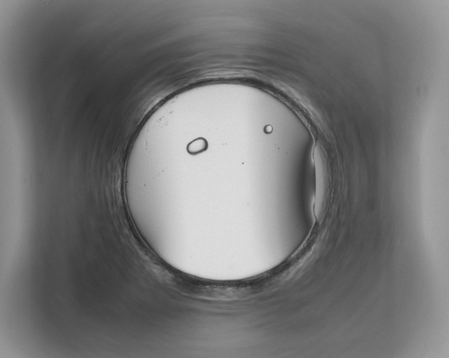 X0000111631273200908071404