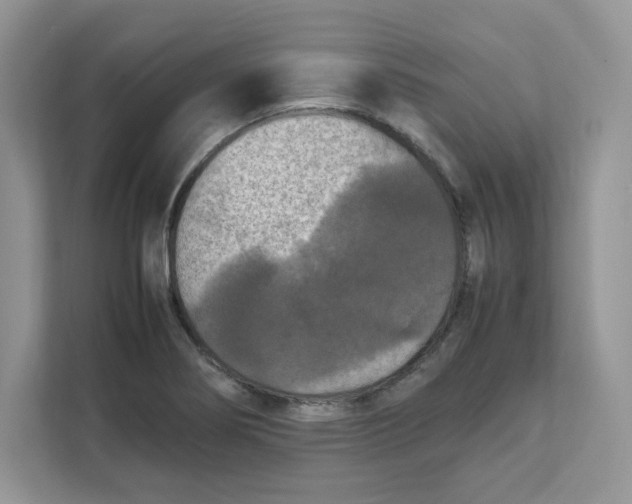 X0000111631274200908071404