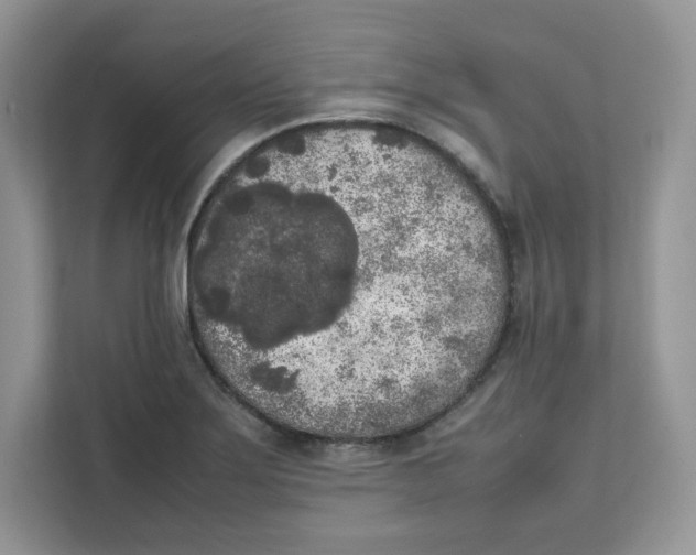 X0000111631275200908071404