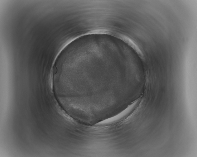 X0000111631276200908071404