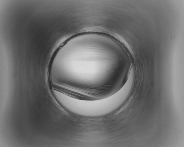 X0000111631277200908071404