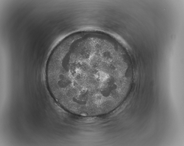 X0000111631279200908071404