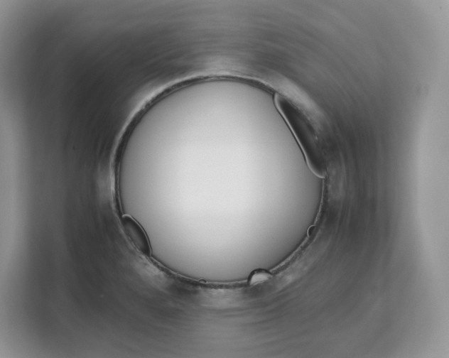 X0000111631280200908071404