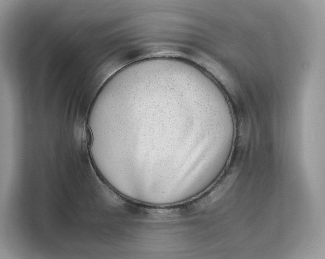 X0000111631281200908071404