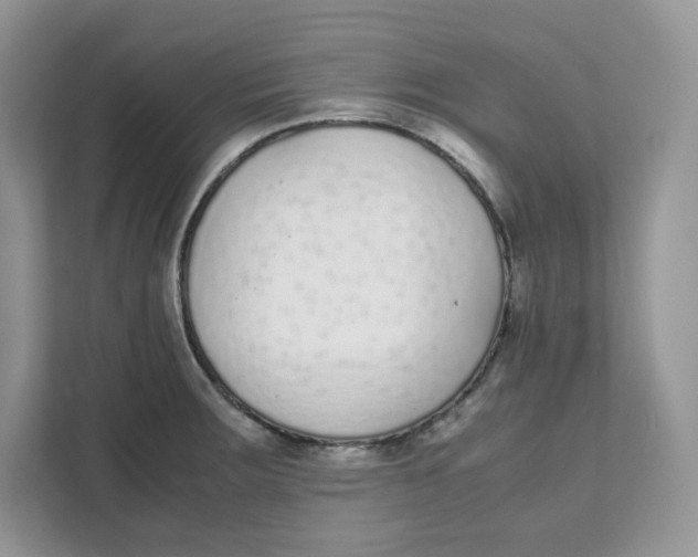 X0000111631283200908071404