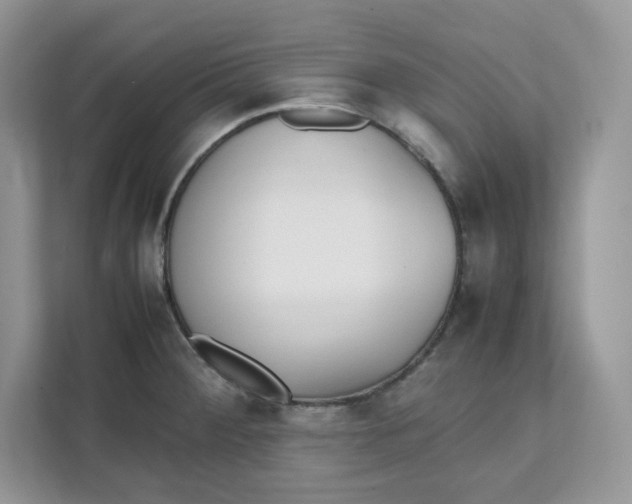 X0000111631284200908071403