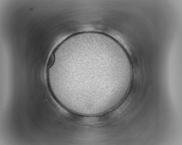 X0000111631285200908071403