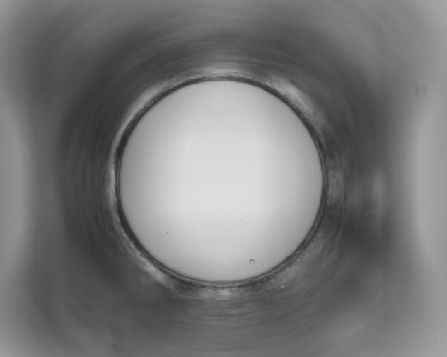 X0000111631286200908071403