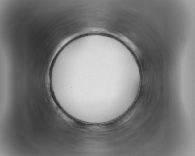 X0000111631287200908071403