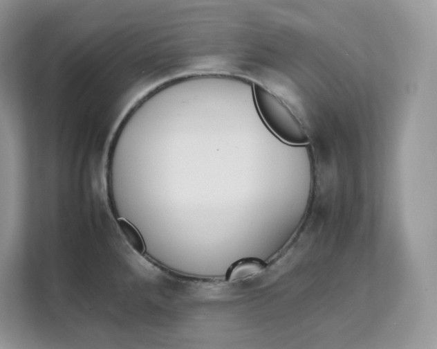 X0000111631288200908071403