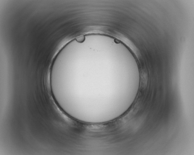 X0000111631290200908071403