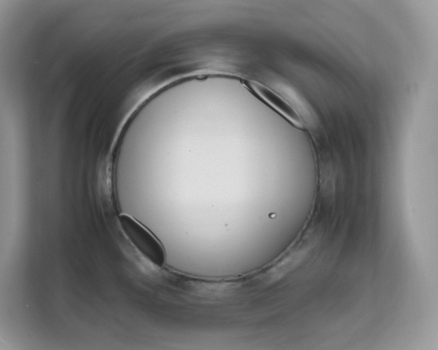 X0000111631292200908071403