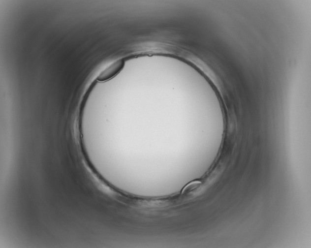 X0000111631293200908071403