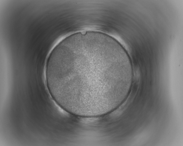 X0000111631294200908071403