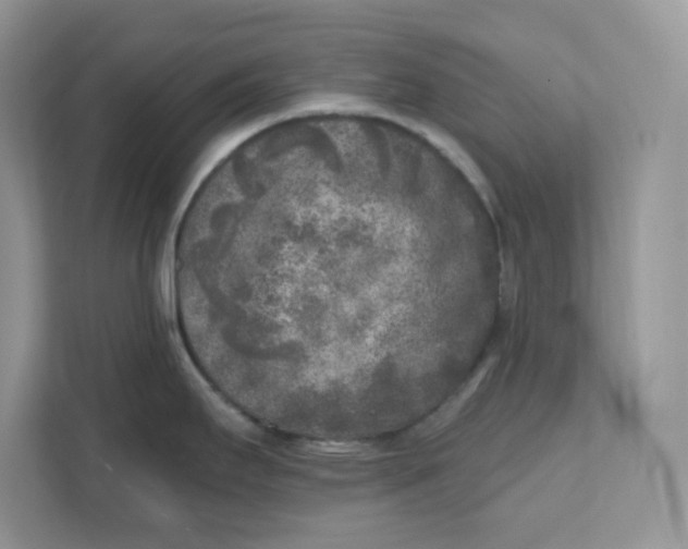 X0000111631295200908071403