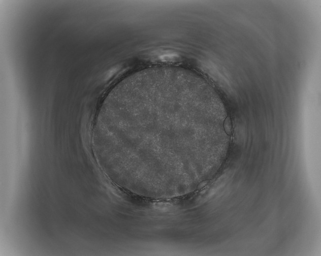 X0000111631297200908071403