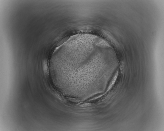 X0000111631298200908071403