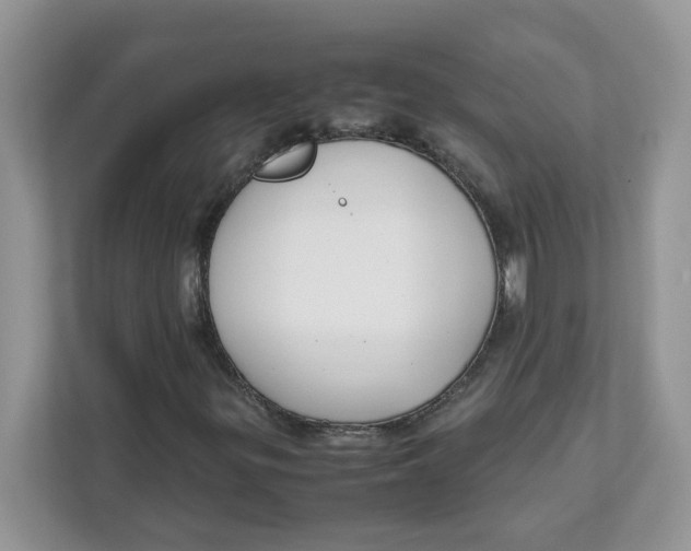 X0000111631299200908071403