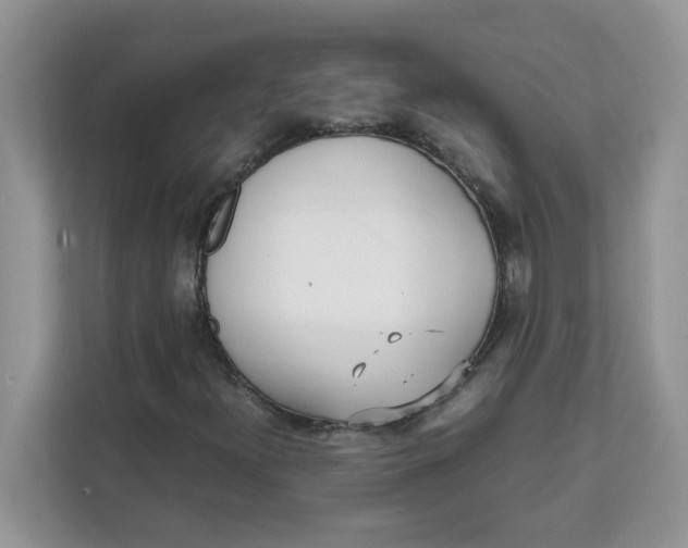 X0000111631300200908071403