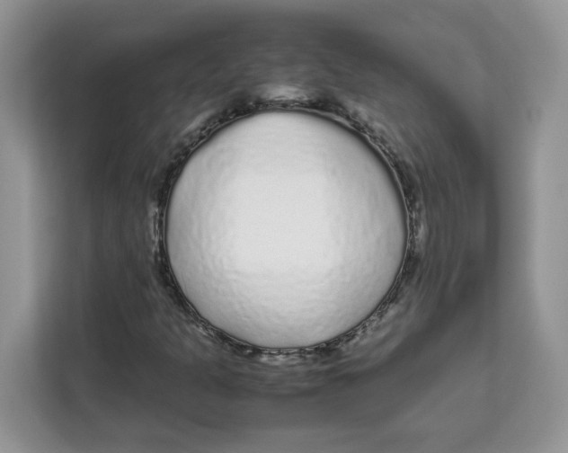 X0000111631301200908071403