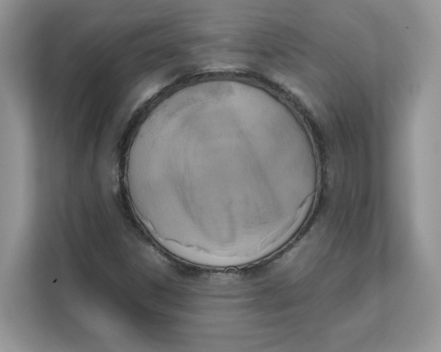 X0000111631306200908071403