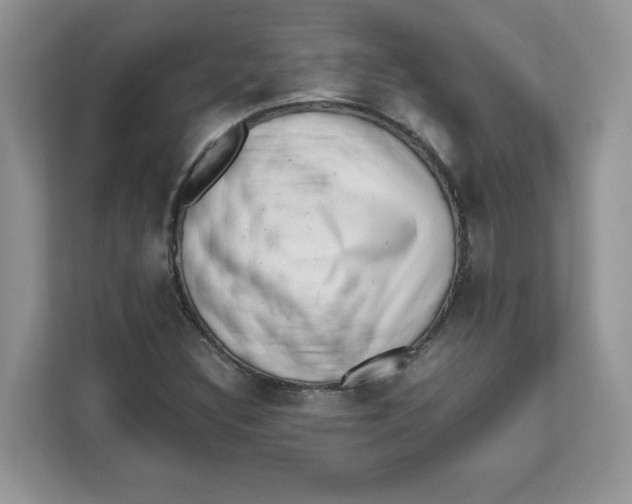 X0000111631308200908071403