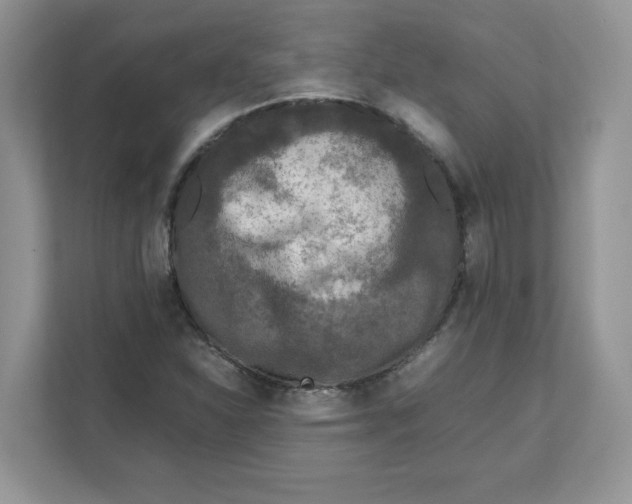 X0000111631310200908071403