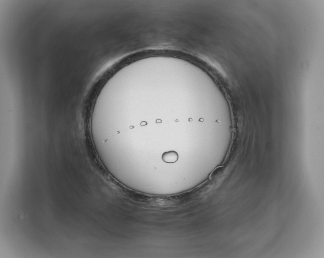 X0000111631311200908071403