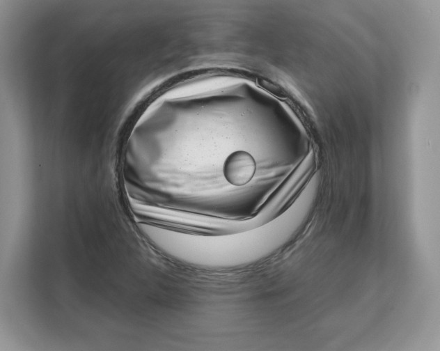 X0000111631312200908071403