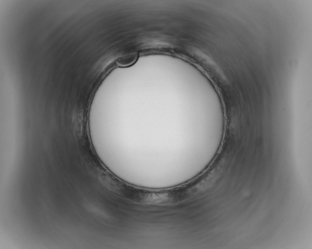 X0000111631313200908071403