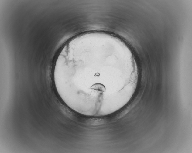 X0000111631314200908071403