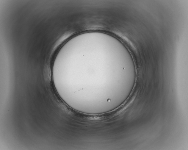 X0000111631317200908071403