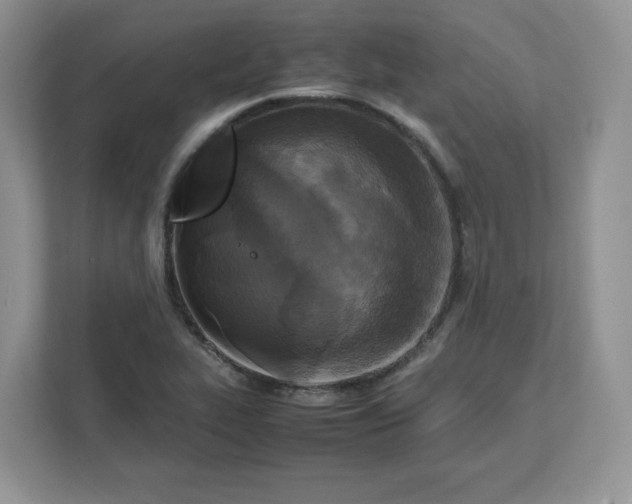 X0000111631319200908071403