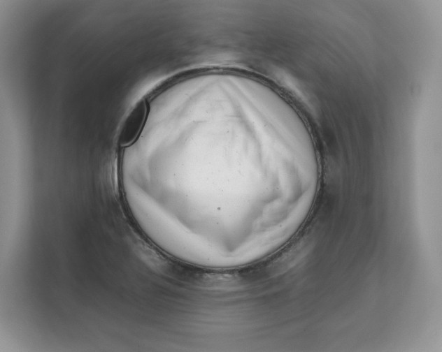 X0000111631320200908071403