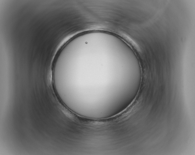 X0000111631324200908071403