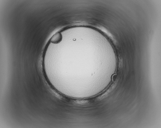 X0000111631325200908071403