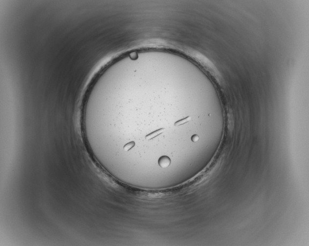 X0000111631326200908071403