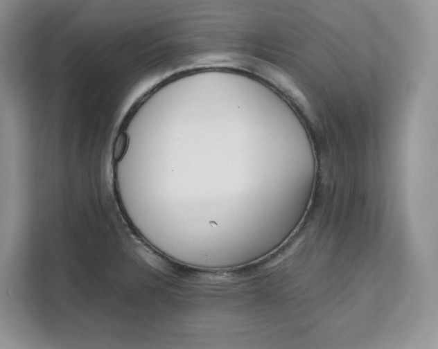 X0000111631328200908071403