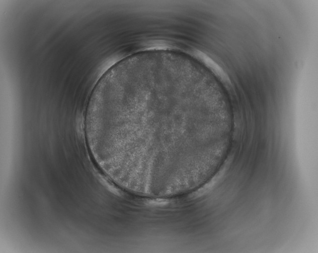 X0000111631329200908071403